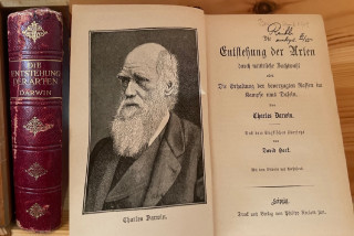 Darwin, Charles: Die Entstehung der Arten durch natürliche Zuchtwahl oder Die Erhaltung der bevorzugten Rassen im Kampfe ums Dasein.