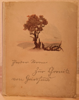 Storm, Theodor: Zur Chronik von Grieshuus. Eine Nordmarkerzählung aus alter Zeit.