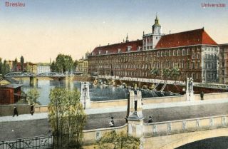 image of article no. P 10042