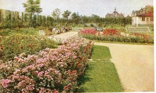 Abbildung von Artikel Nr. P 10092