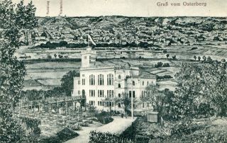 image of article no. P 10159