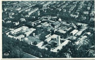 image of article no. P 10184