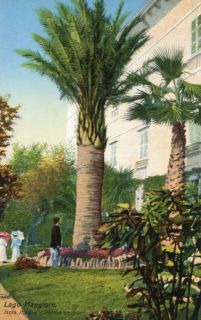 Abbildung von Artikel Nr. P 10225