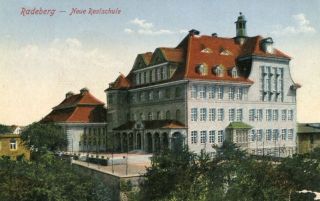 image of article no. P 10236