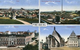 image of article no. P 10261