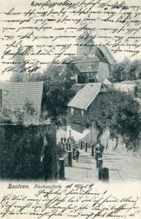 image of article no. P 10279