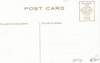 image of the back side of article no. P 1029