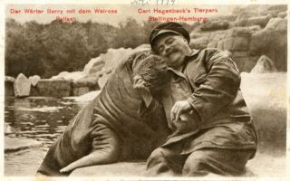 Abbildung von Artikel Nr. P 10319