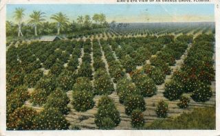 image of article no. P 1032