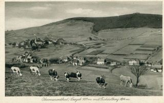 Abbildung von Artikel Nr. P 10331