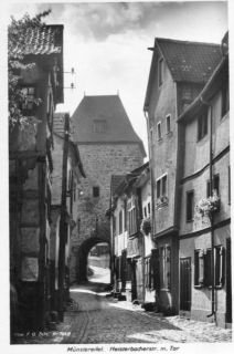 Abbildung von Artikel Nr. P 10335