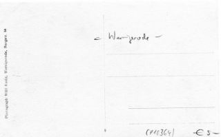 image of the back side of article no. P 10364