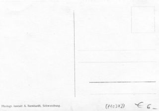 image of the back side of article no. P 10372