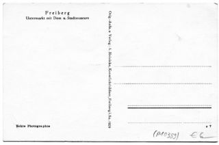 image of the back side of article no. P 10389