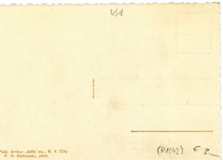 Abbildung der Rückseite von Artikel Nr. P 1042