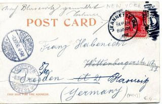 image of the back side of article no. P 1043