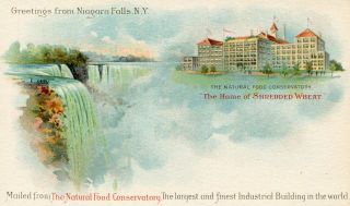 image of the back side of article no. P 1044