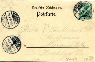 image of the back side of article no. P 10469