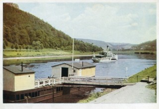 Abbildung von Artikel Nr. P 10495