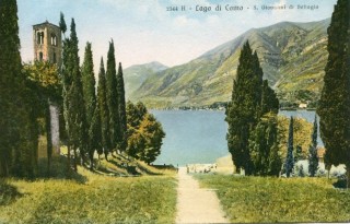 image of article no. P 10517