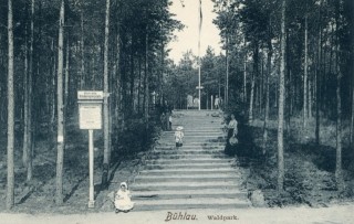 Abbildung von Artikel Nr. P 10529