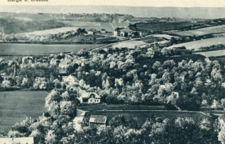 Abbildung von Artikel Nr. P 10586