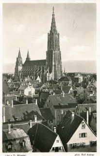 image of article no. P 10603