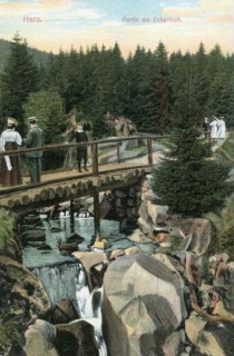 Abbildung von Artikel Nr. P 10655