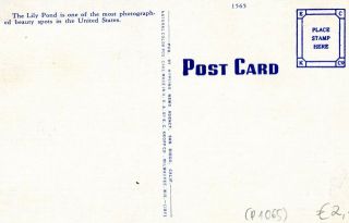 image of the back side of article no. P 1065