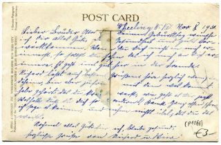 image of the back side of article no. P 1066