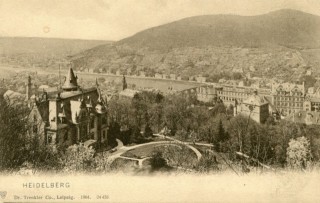 Abbildung von Artikel Nr. P 10681