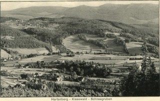 Abbildung von Artikel Nr. P 10695