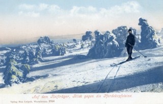 image of article no. P 10706