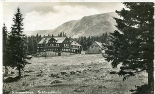 Abbildung von Artikel Nr. P 10707