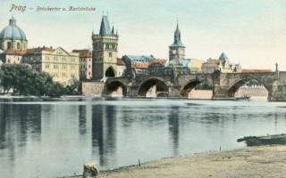 image of article no. P 10723