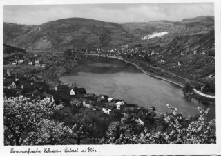 Abbildung von Artikel Nr. P 10736