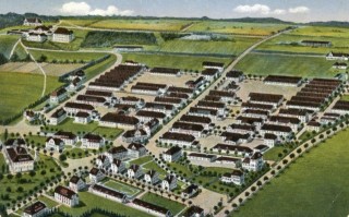 image of article no. P 10744