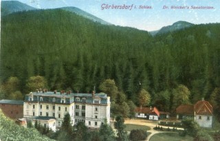 Abbildung von Artikel Nr. P 10794