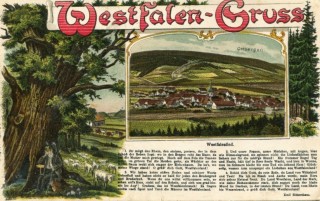 Abbildung von Artikel Nr. P 10796