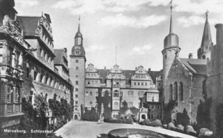 image of article no. P 10810