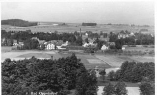 image of article no. P 10829