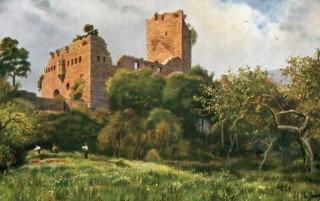 Abbildung von Artikel Nr. P 10848