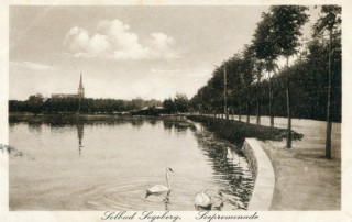 Abbildung von Artikel Nr. P 10913