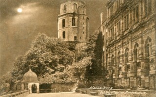 image of article no. P 10923