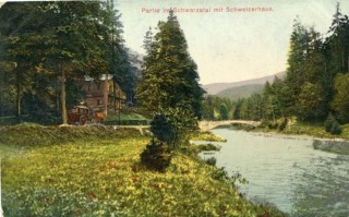 Abbildung von Artikel Nr. P 10961