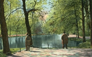 image of article no. P 10968