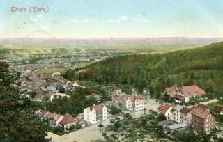 Abbildung von Artikel Nr. P 10986