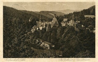 Abbildung von Artikel Nr. P 10996