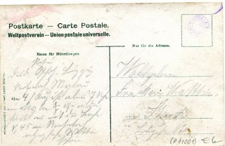 image of the back side of article no. P 11001