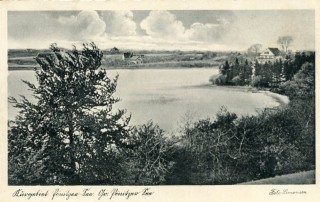 image of article no. P 11013